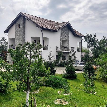 Pensiunea Codruta Cărpinişu Buitenkant foto