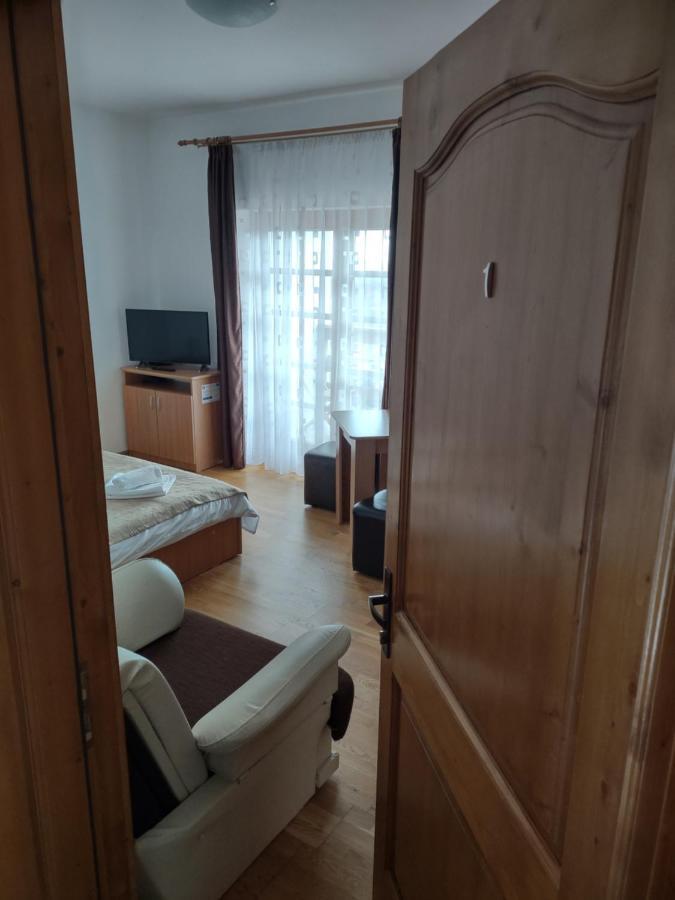 Pensiunea Codruta Cărpinişu Buitenkant foto