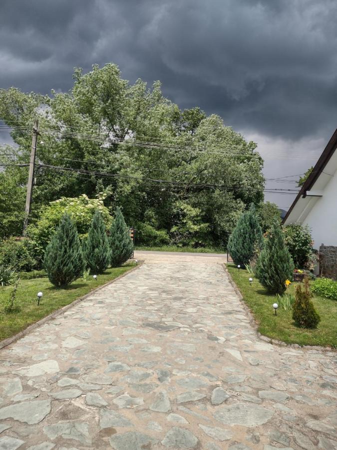Pensiunea Codruta Cărpinişu Buitenkant foto