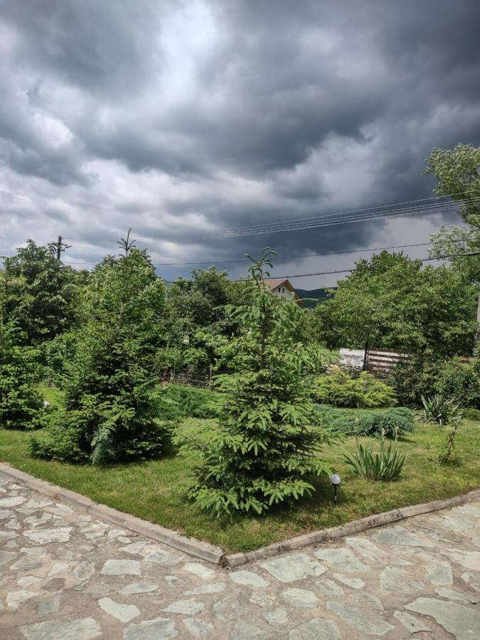 Pensiunea Codruta Cărpinişu Buitenkant foto