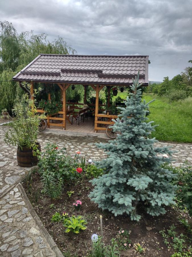 Pensiunea Codruta Cărpinişu Buitenkant foto