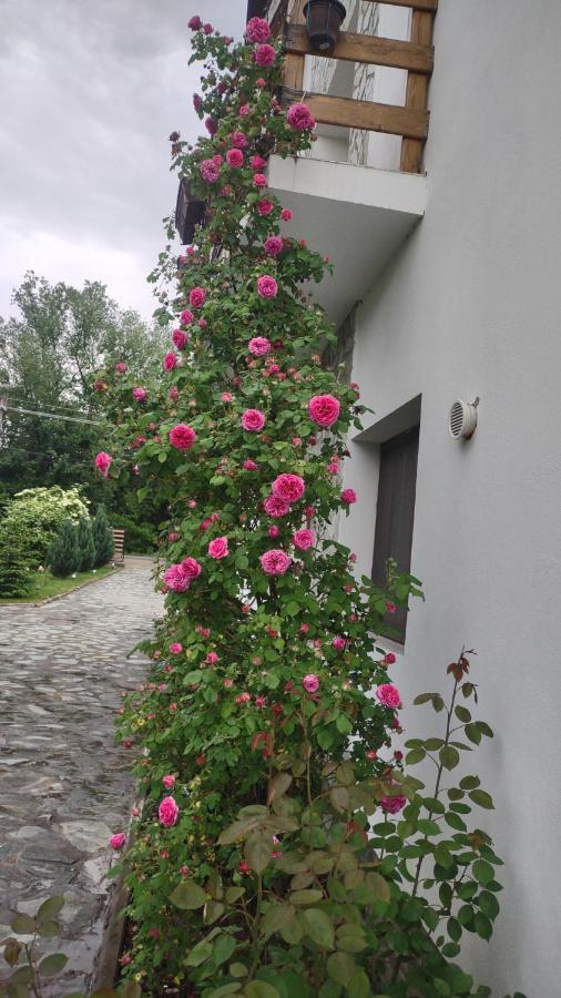 Pensiunea Codruta Cărpinişu Buitenkant foto