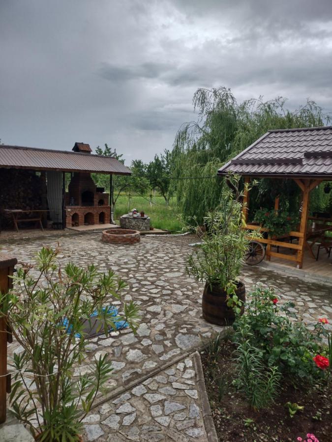 Pensiunea Codruta Cărpinişu Buitenkant foto