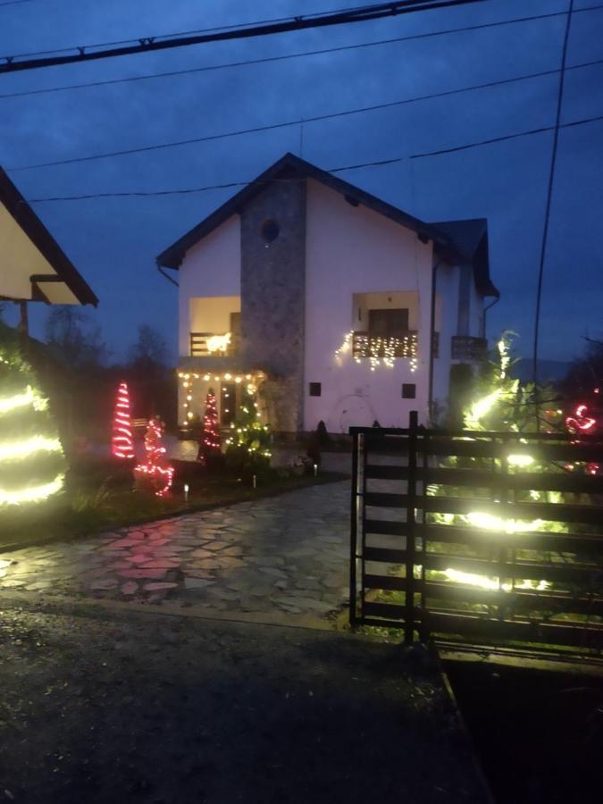 Pensiunea Codruta Cărpinişu Buitenkant foto