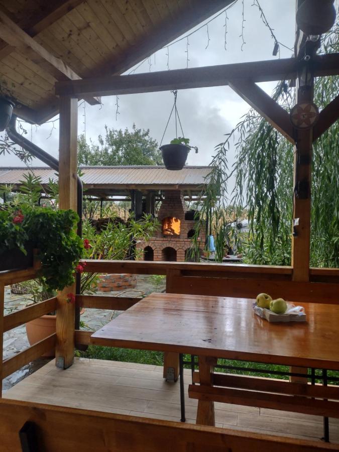 Pensiunea Codruta Cărpinişu Buitenkant foto