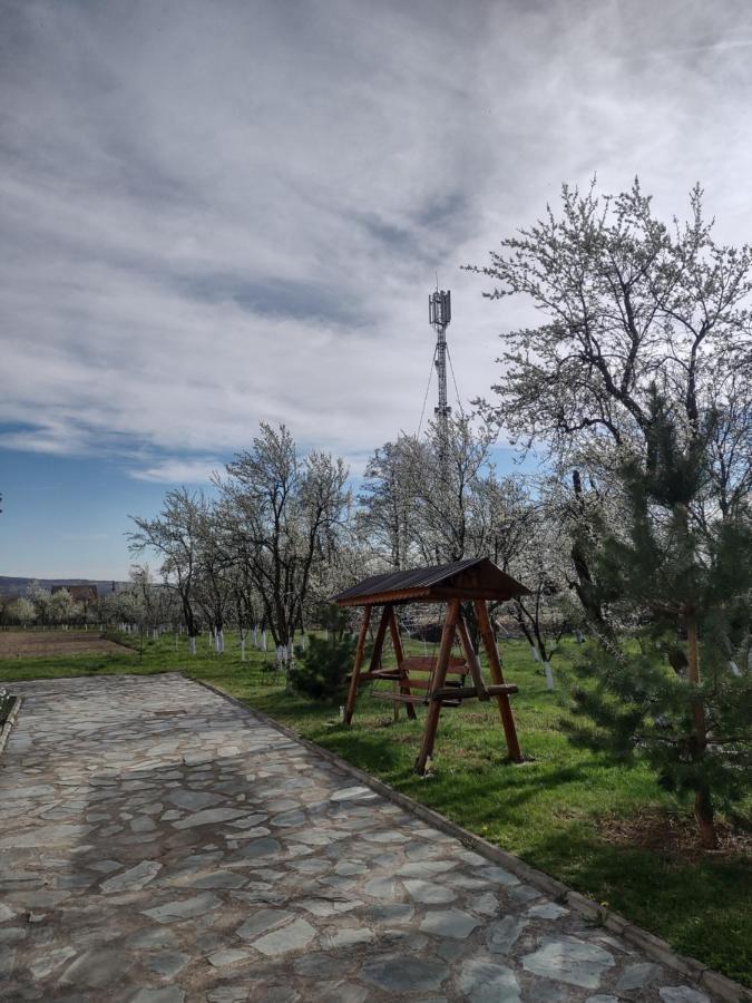 Pensiunea Codruta Cărpinişu Buitenkant foto