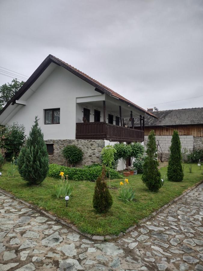 Pensiunea Codruta Cărpinişu Buitenkant foto