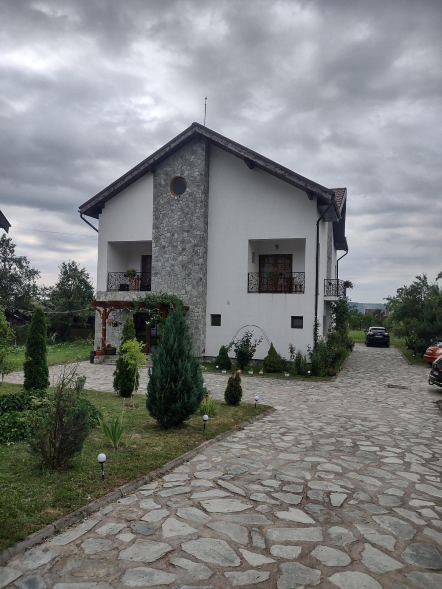 Pensiunea Codruta Cărpinişu Buitenkant foto