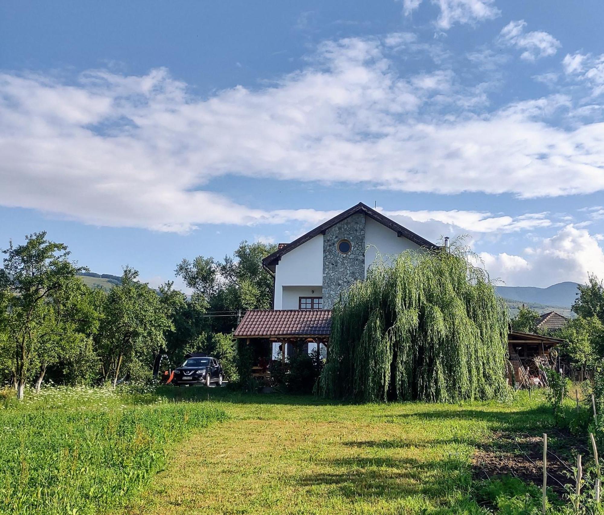 Pensiunea Codruta Cărpinişu Buitenkant foto