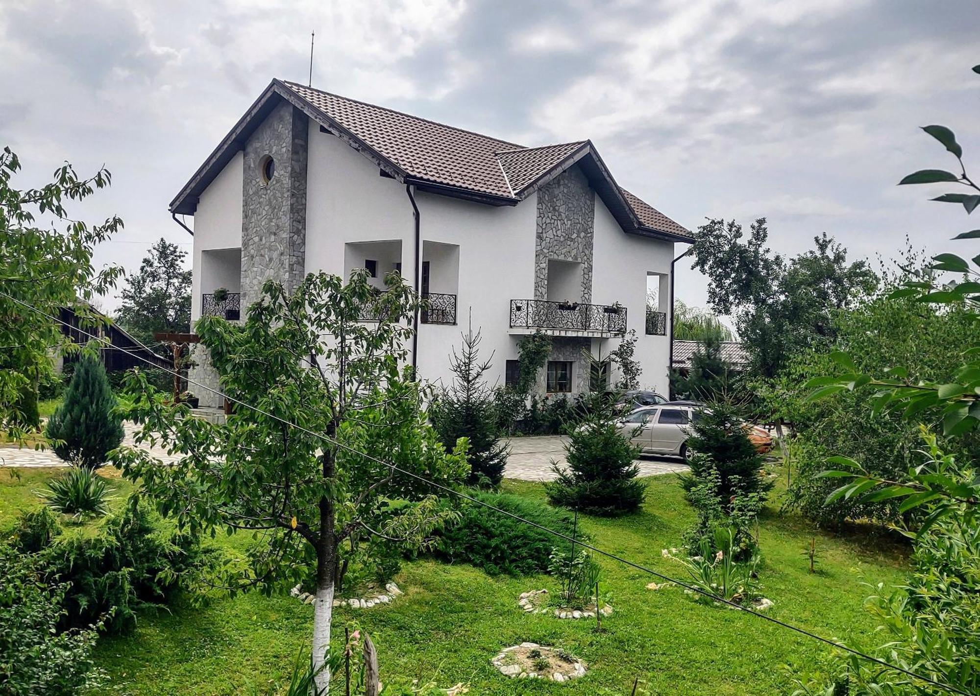 Pensiunea Codruta Cărpinişu Buitenkant foto