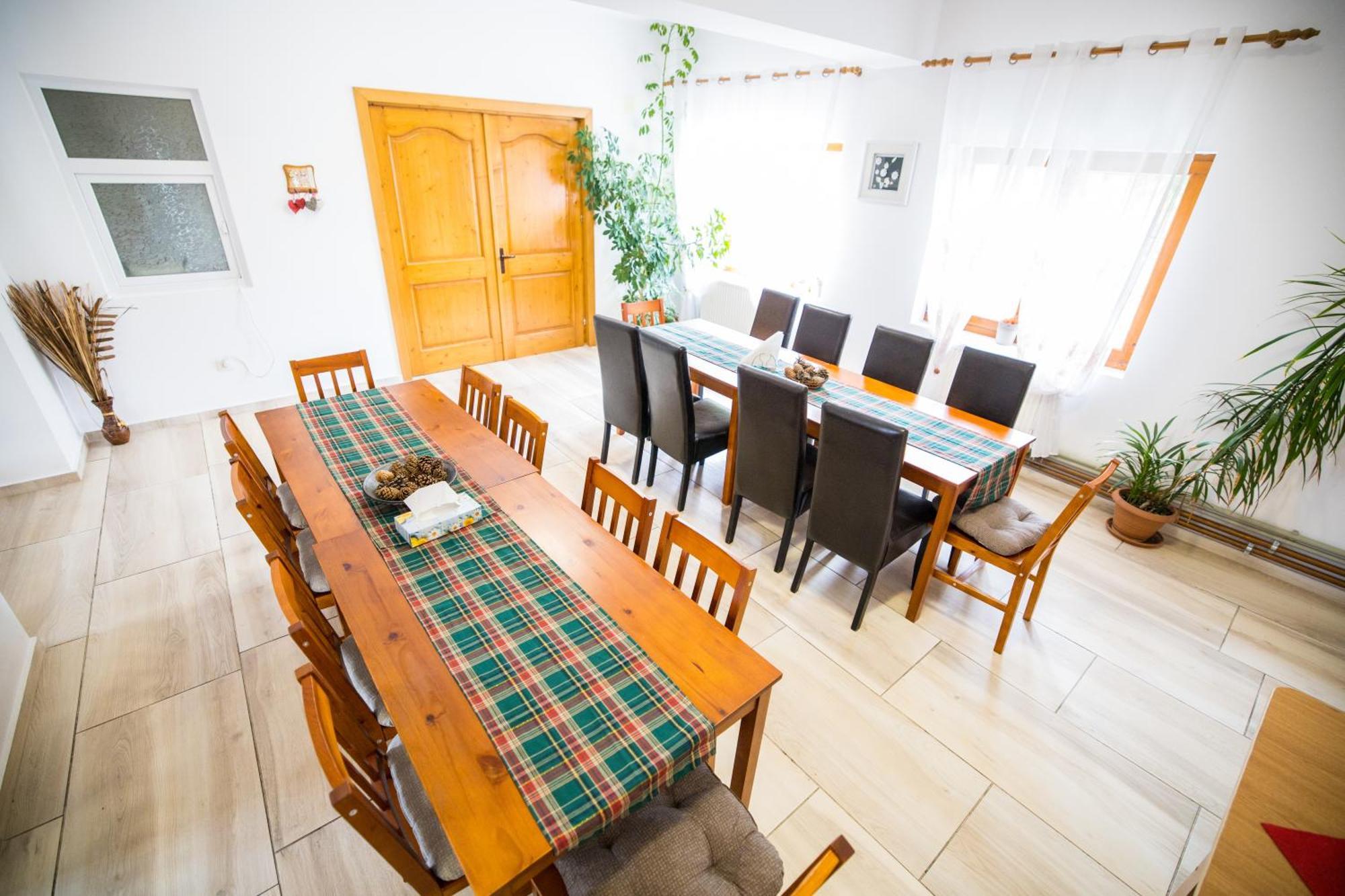 Pensiunea Codruta Cărpinişu Buitenkant foto