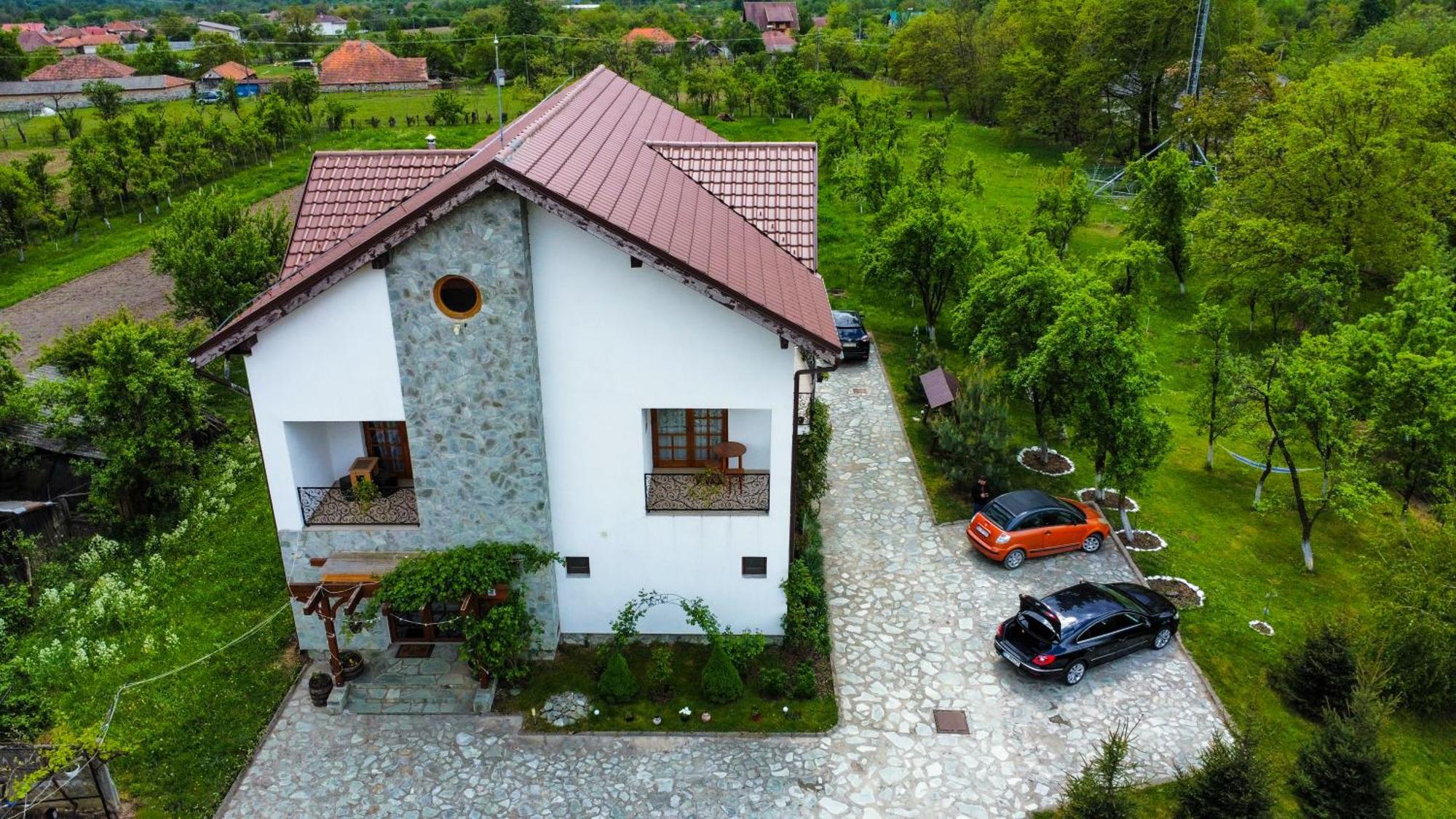 Pensiunea Codruta Cărpinişu Buitenkant foto