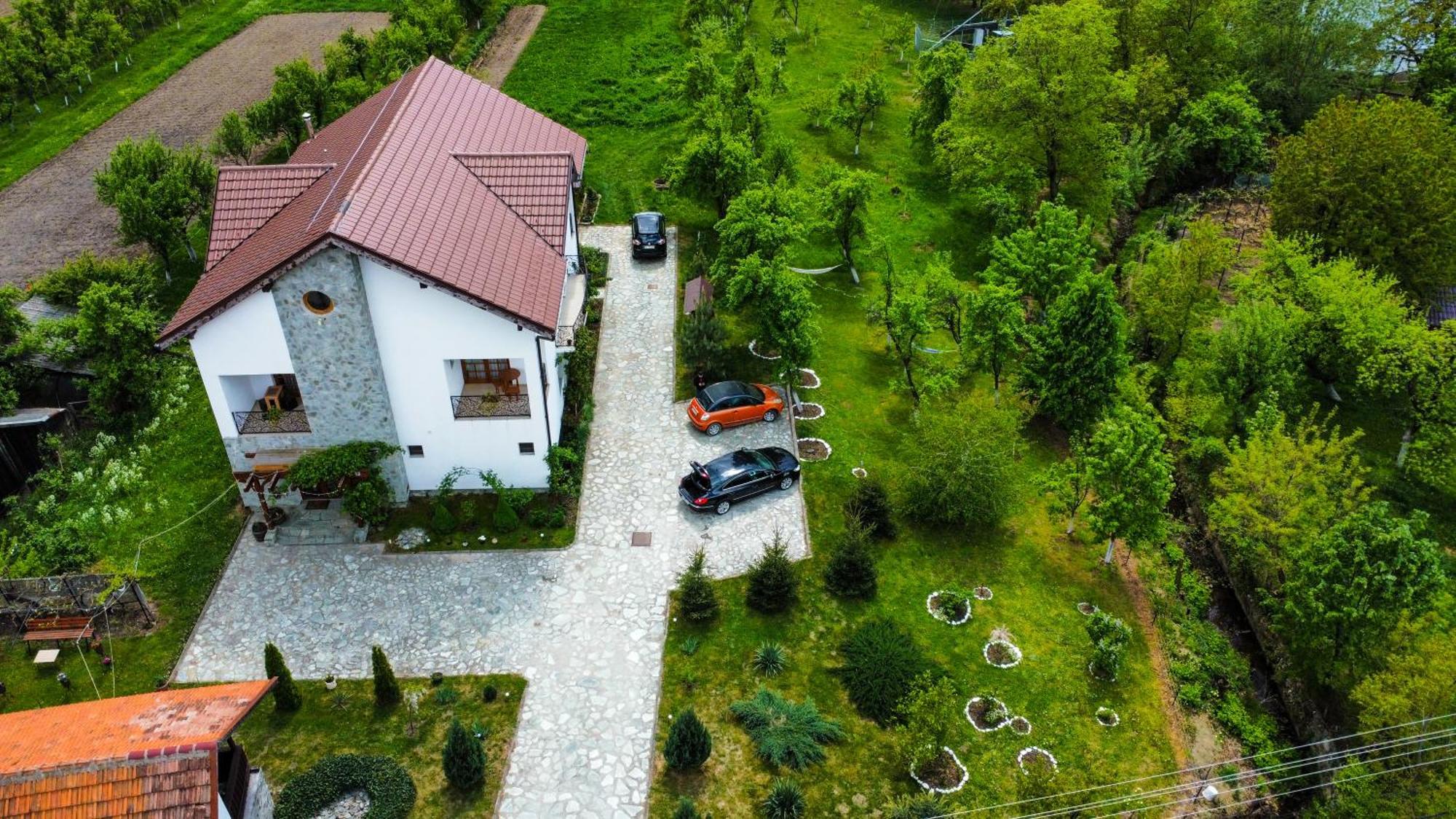 Pensiunea Codruta Cărpinişu Kamer foto