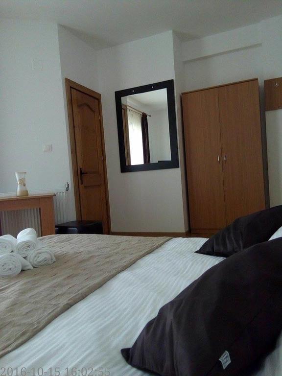 Pensiunea Codruta Cărpinişu Buitenkant foto