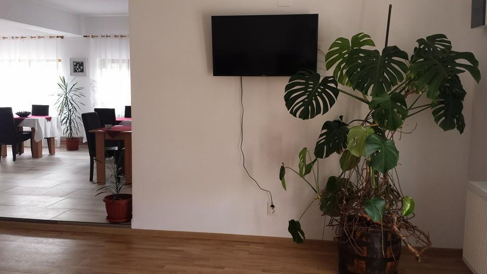 Pensiunea Codruta Cărpinişu Buitenkant foto