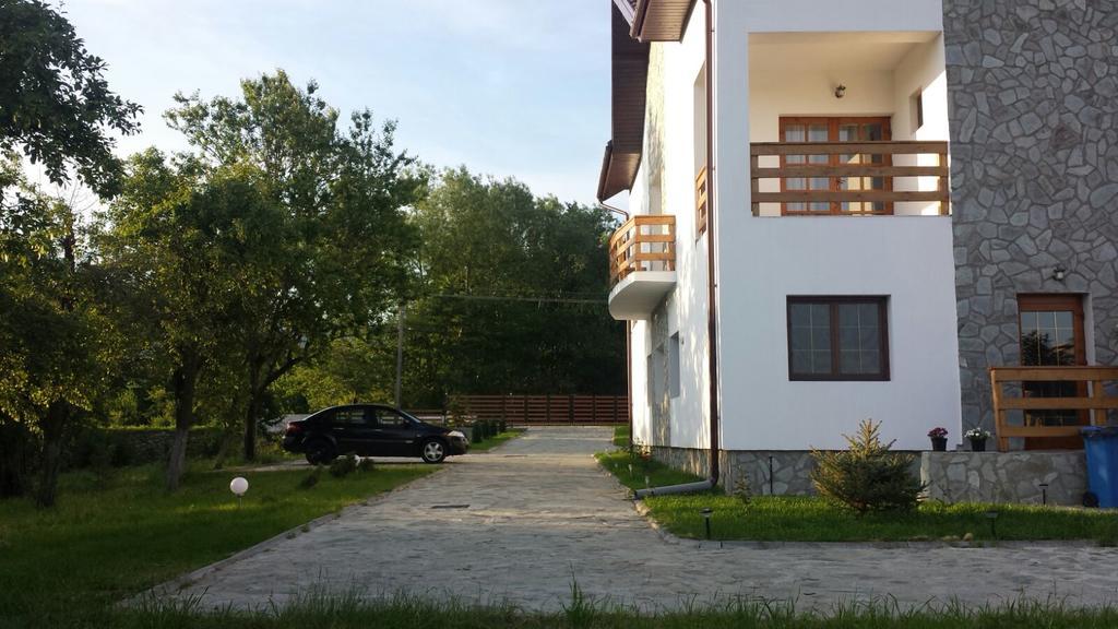 Pensiunea Codruta Cărpinişu Buitenkant foto