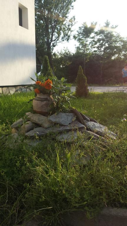 Pensiunea Codruta Cărpinişu Buitenkant foto