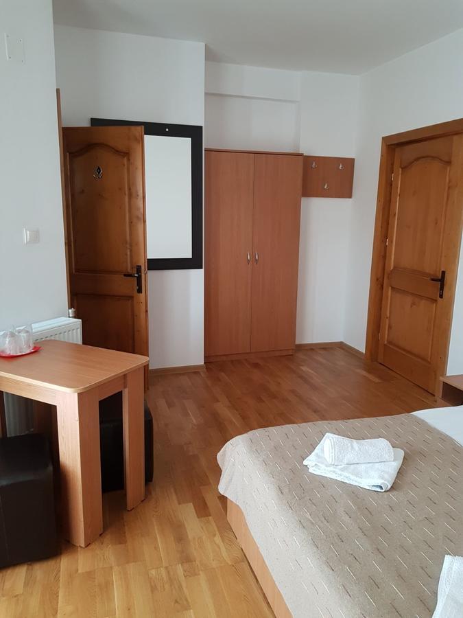 Pensiunea Codruta Cărpinişu Buitenkant foto