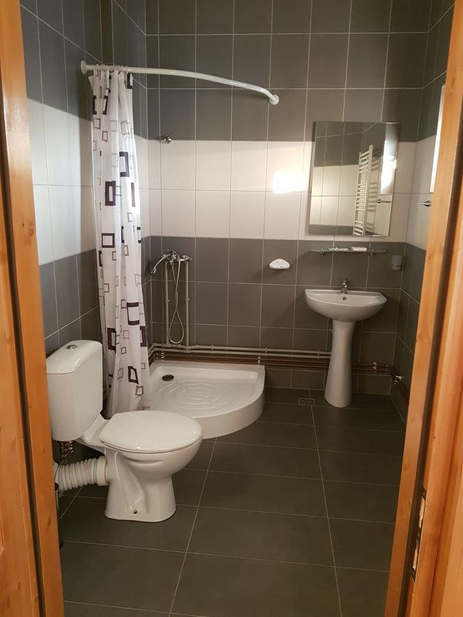 Pensiunea Codruta Cărpinişu Buitenkant foto