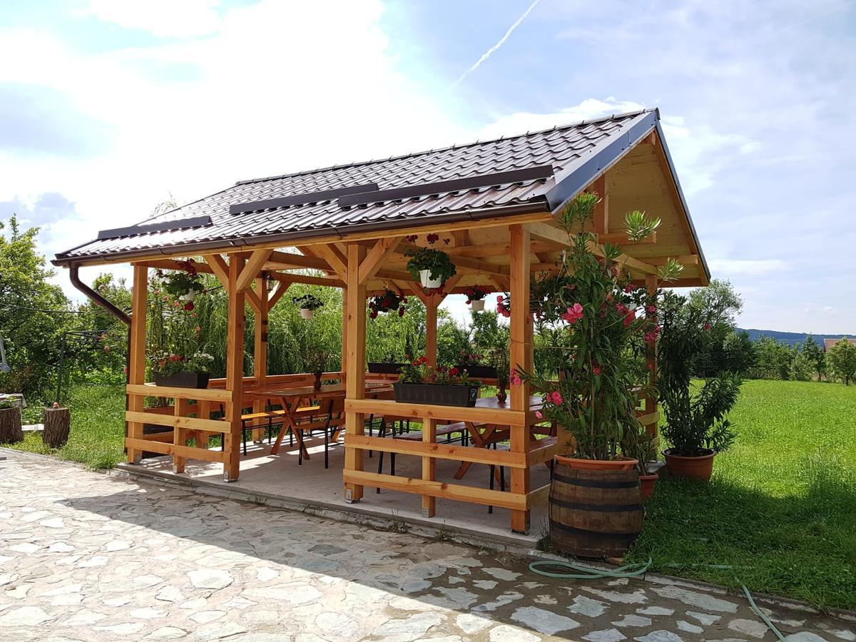 Pensiunea Codruta Cărpinişu Buitenkant foto