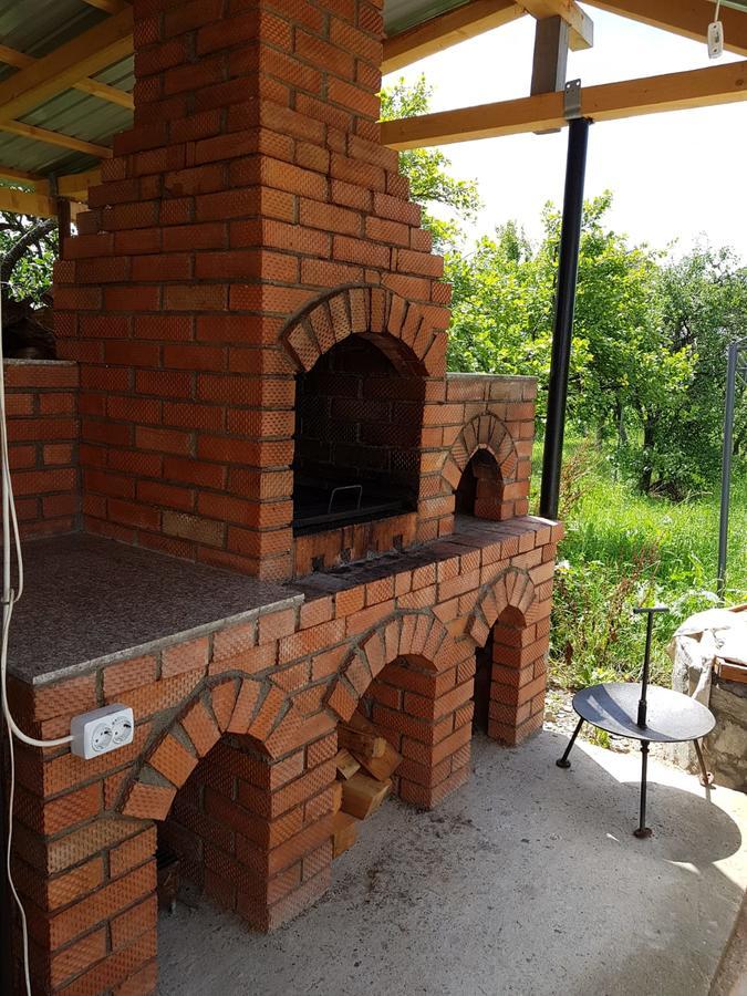 Pensiunea Codruta Cărpinişu Buitenkant foto