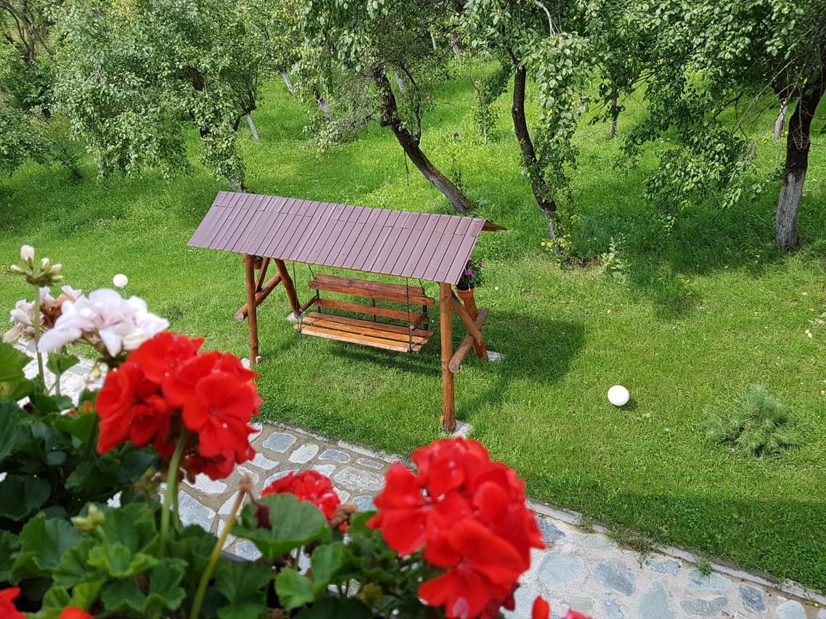 Pensiunea Codruta Cărpinişu Buitenkant foto
